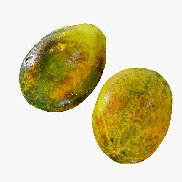Papaya fruits 3D model